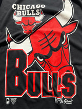 90's Chicago Bulls single stitch Deadstock T Shirt (L)
