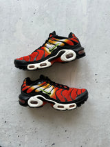 Nike TN Air Max Plus Sunset Gradient Trainers (UK 6)