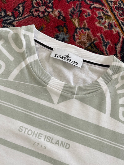 AW/22 Stone Island Graphic Print T Shirt (M)