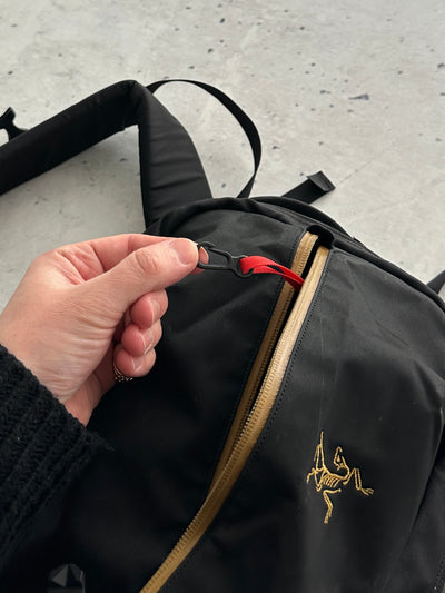 Arc'teryx Arro 22 Backpack (One Size)