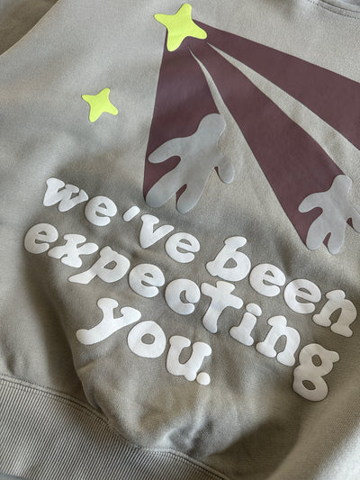 Broken Planet Heavyweight Pullover Hoodie (M)