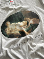 Supreme Fine Arts t shirt (M)
